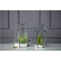 Terrario in vetro per piante da interno di vendita caldo geometrico
